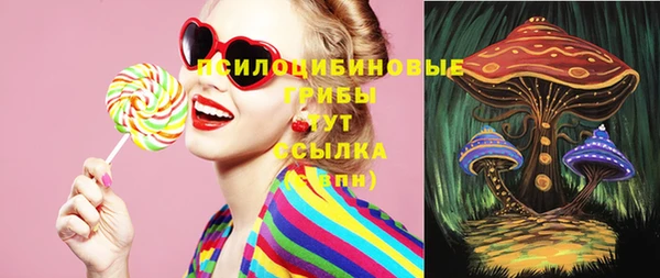 молекула духа Горняк