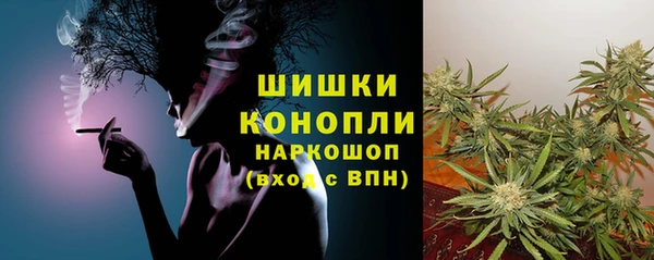 молекула духа Горняк
